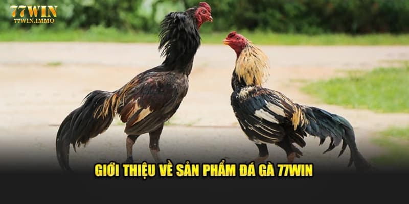 Sản phẩm cược tài xỉu