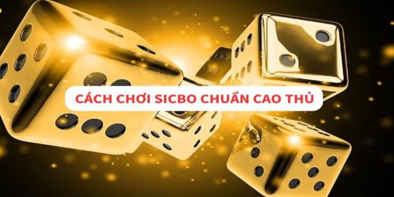 Hướng Dẫn Cách Chơi Sicbo Livestream Ăn Tiền Tại Nhà Cái 4 Mẹo chơi Sicbo Livestream trăm trận trăm thắng