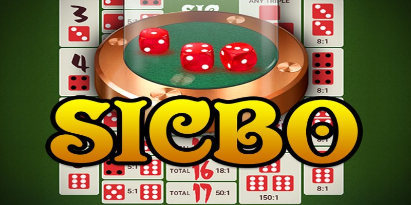 sicbo livestream